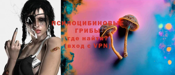 ГАЛЛЮЦИНОГЕННЫЕ ГРИБЫ Арсеньев