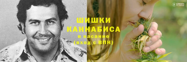 ГАЛЛЮЦИНОГЕННЫЕ ГРИБЫ Арсеньев