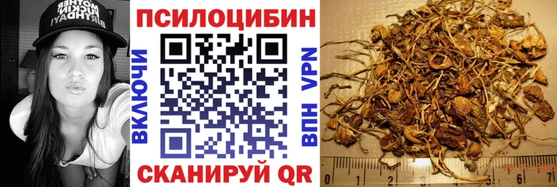 купить закладку  Майский  Галлюциногенные грибы мухоморы 
